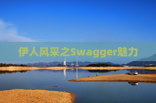 伊人风采之Swagger魅力
